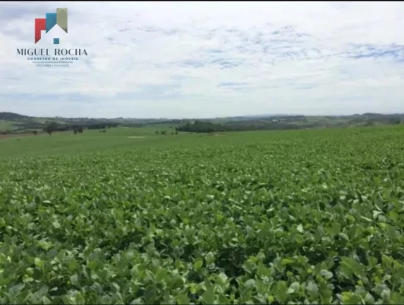 Imagem Fazenda região Itapetininga SP