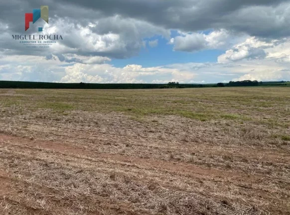 Imagem Fazenda região de Avaré SP