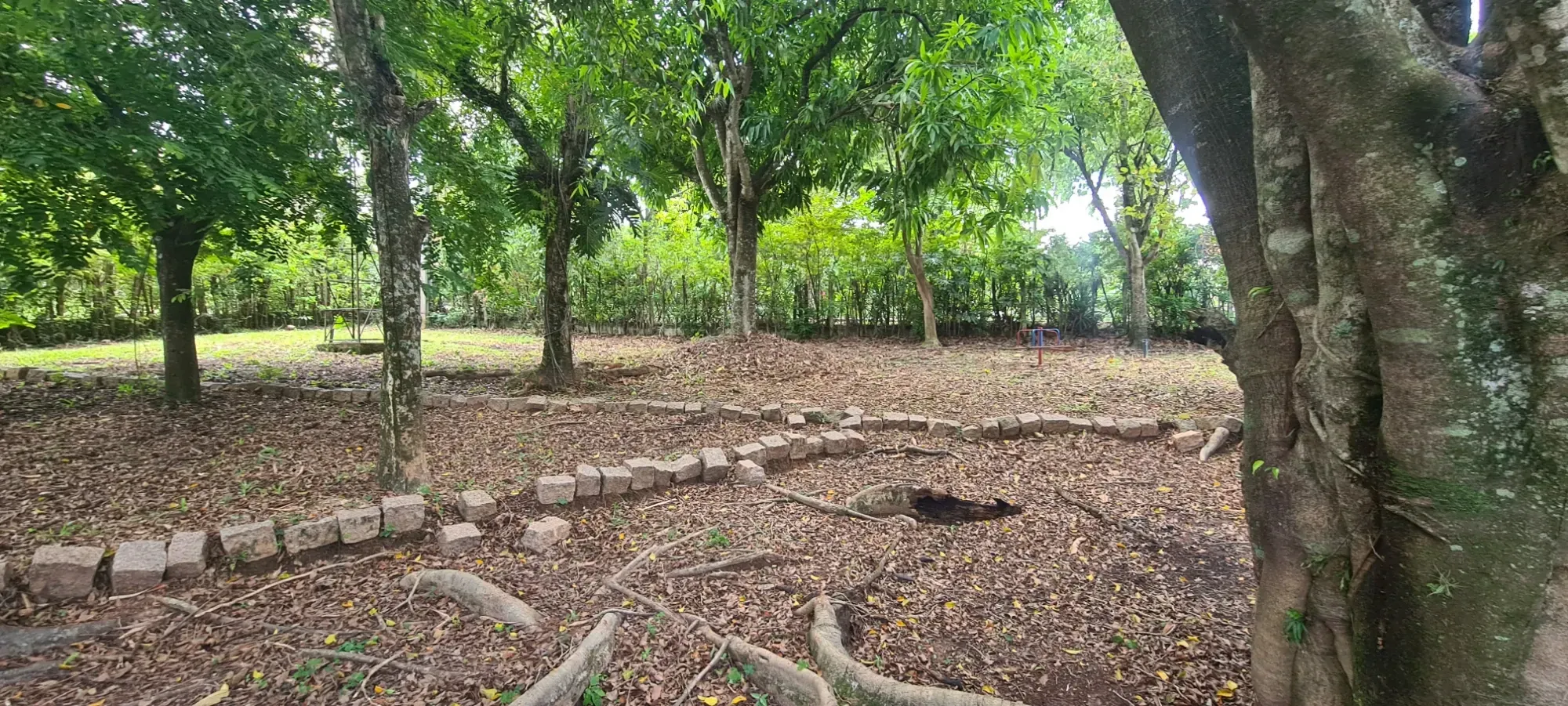 Foto do imóvel: Chácara com 3 Quartos à Venda, 367 m² em Área Rural de Cesário Lange - Cesário Lange