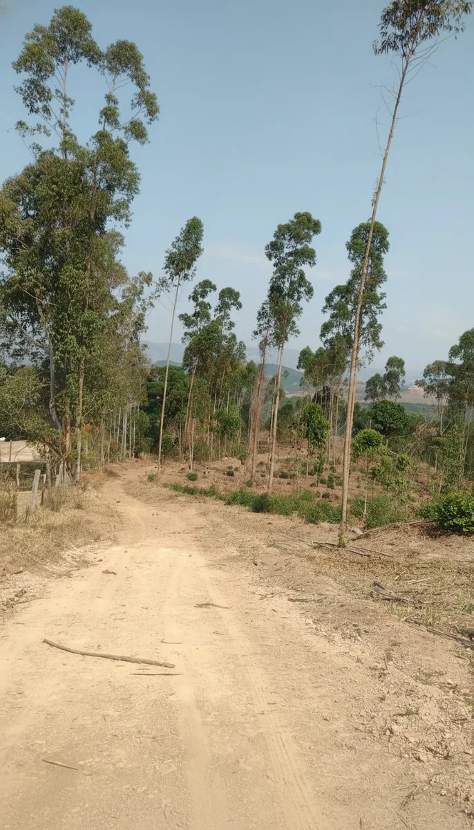 Imagem Sítio 24 m² à venda em Pocinhos do Rio Verde, Caldas