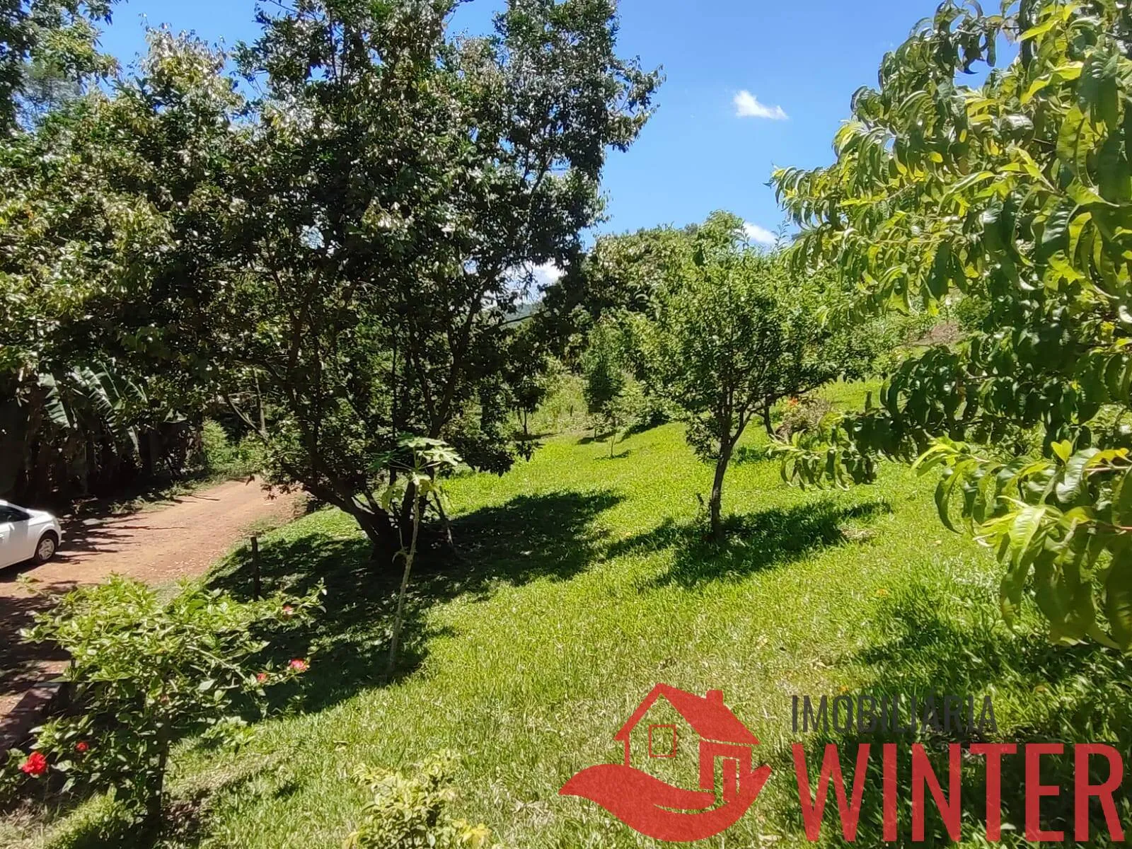 Imagem Sítio de 1,2 hectares com casa e piscina em São Roque, Feliz.