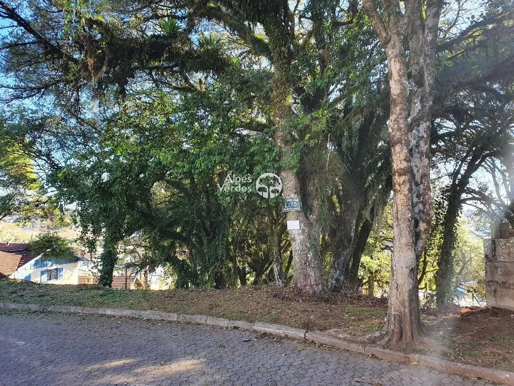 Imagem Terreno à venda, 1546 m2 por R$ 1.200.000 - Centro - Canela/RS