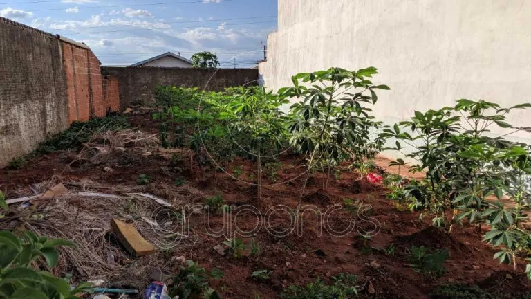 Terreno à Venda, 163 m² em Parque São Paulo (vila Xavier) - Araraquara