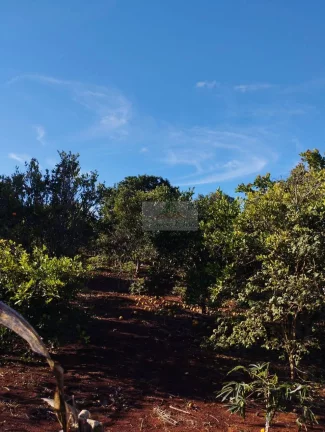 Imagem CHÁCARA JARDIM CANANÉIA