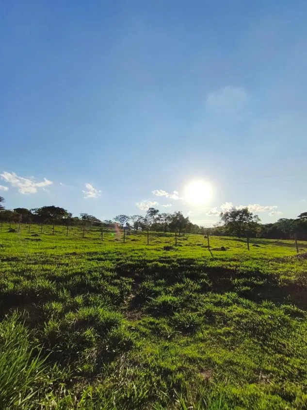 Imagem Vende-se Sítio na MG-050 ( São Sebastião d oeste ) 9,6 hectares de área