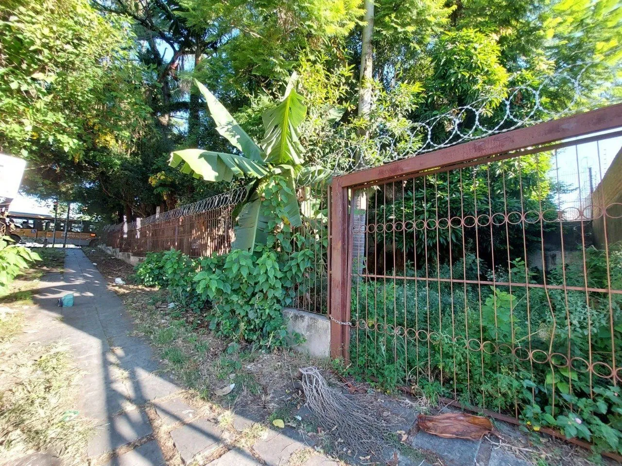 Imagem Terreno em Medianeira