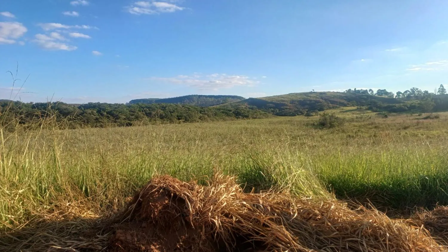 Imagem FAZENDA À VENDA - OLIVEIRA (MG) 107 hectares de terra