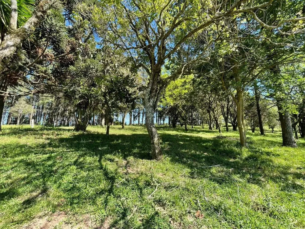 Imagem 90 Hectares de frente para o asfalto em Viamão