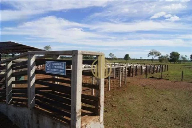 Imagem Fazenda em São Miguel do Araguaia à venda, - Centro - São Miguel do Araguaia/GO
