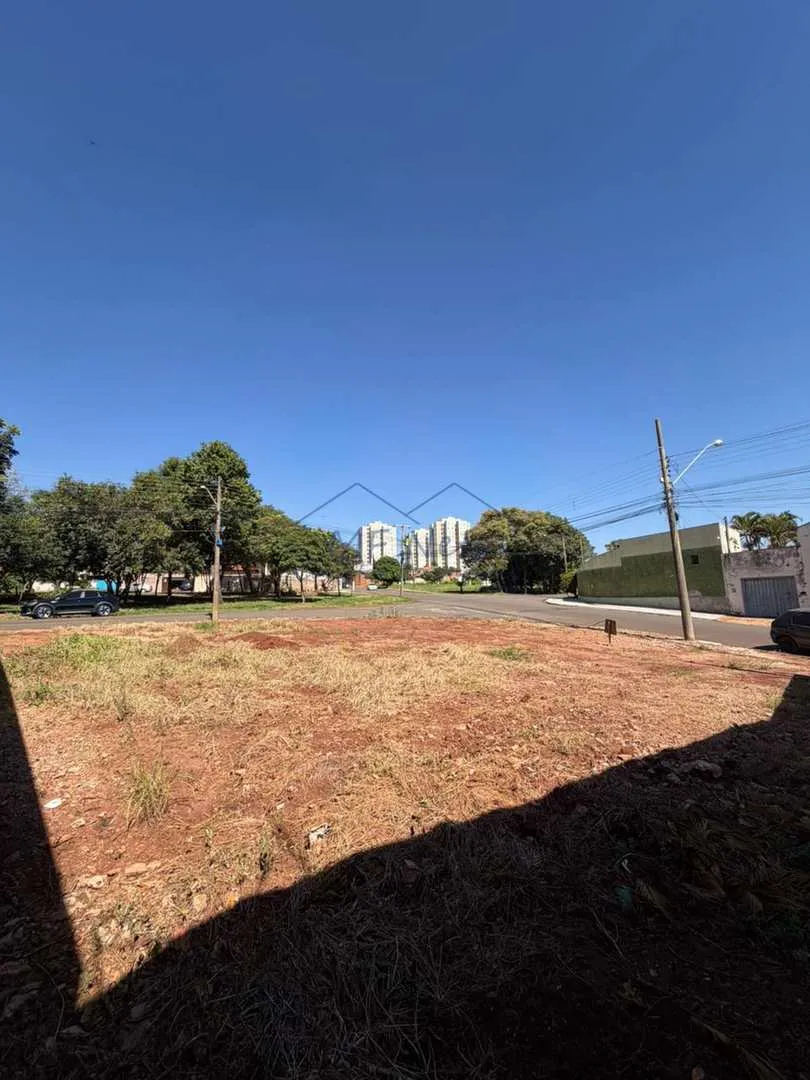 Imagem Terreno Padrão