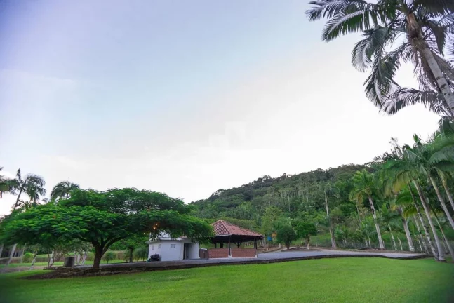 Imagem Chácara | Guaramirim (Tibagi) | 158.500m²