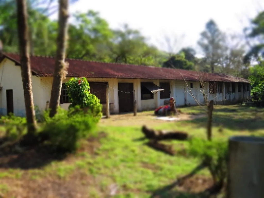 Imagem Chácara à venda 145200M², Paiol, Guaratinguetá - SP