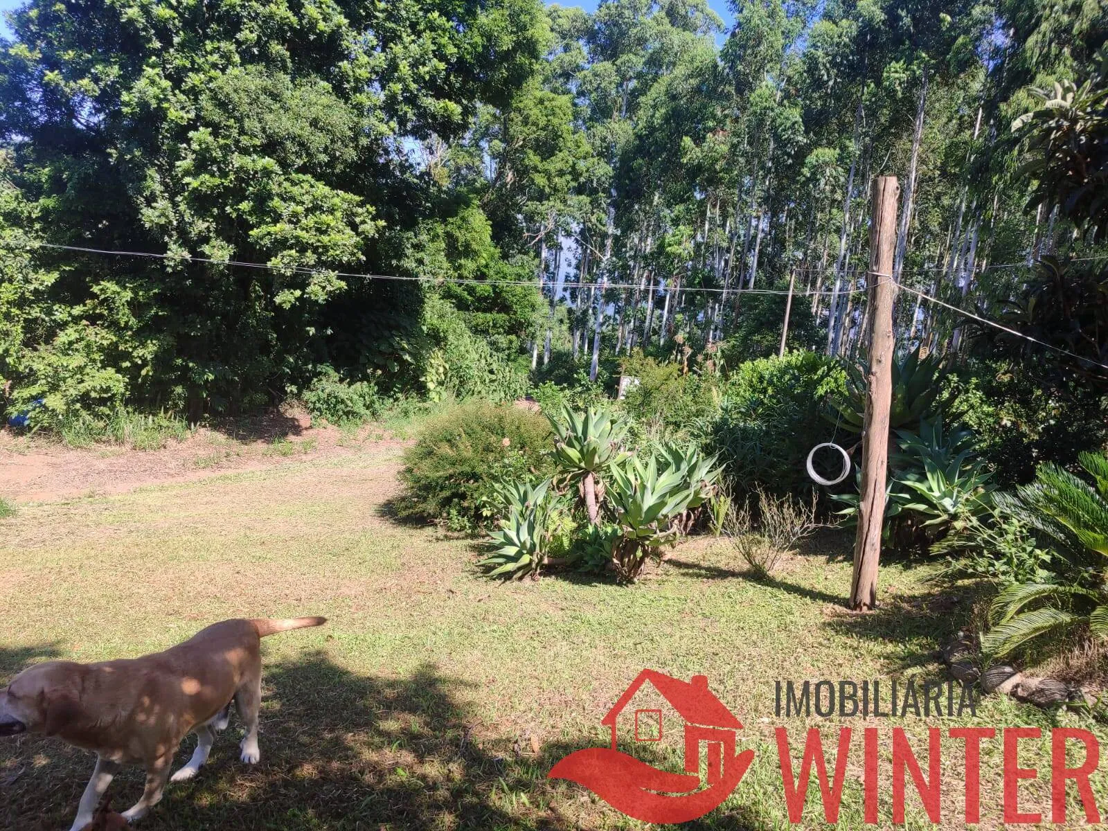Imagem Área de 85.461,00m² com saibro em Arroio Bonito, São José do Hortêncio.