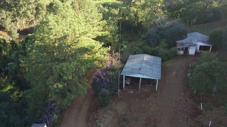 Imagem Área Agrícola para Venda em Ipumirim, Rural