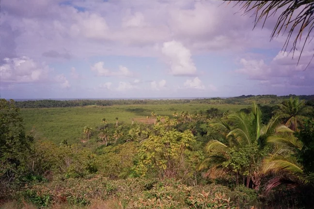 Imagem Ilha São Jerônimo