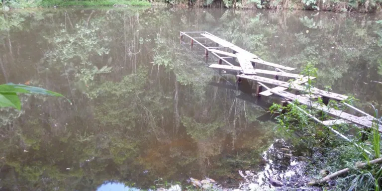 Imagem Chácara com 6 Quartos à Venda, 51.800 m² em Centro - Santa Isabel