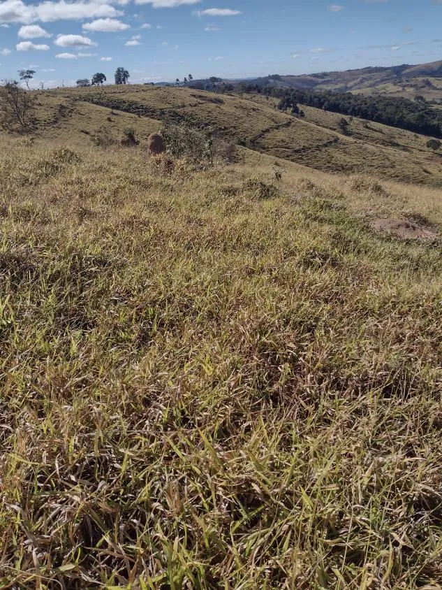 Imagem Vendo terreno em Crucilândia com 48 hectares de terra