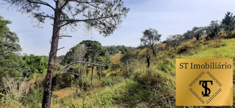 Imagem Sítio Atibaia Com 72.000 m² Bem Localizado