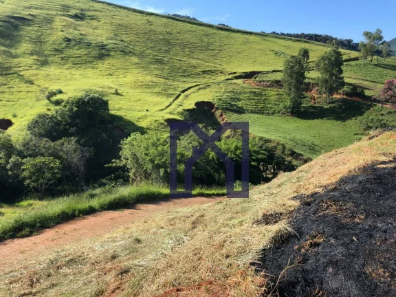Imagem Sítio à venda, 19 Hectares por R$ 600.000 - Wenceslau Braz - Wenceslau Braz/MG