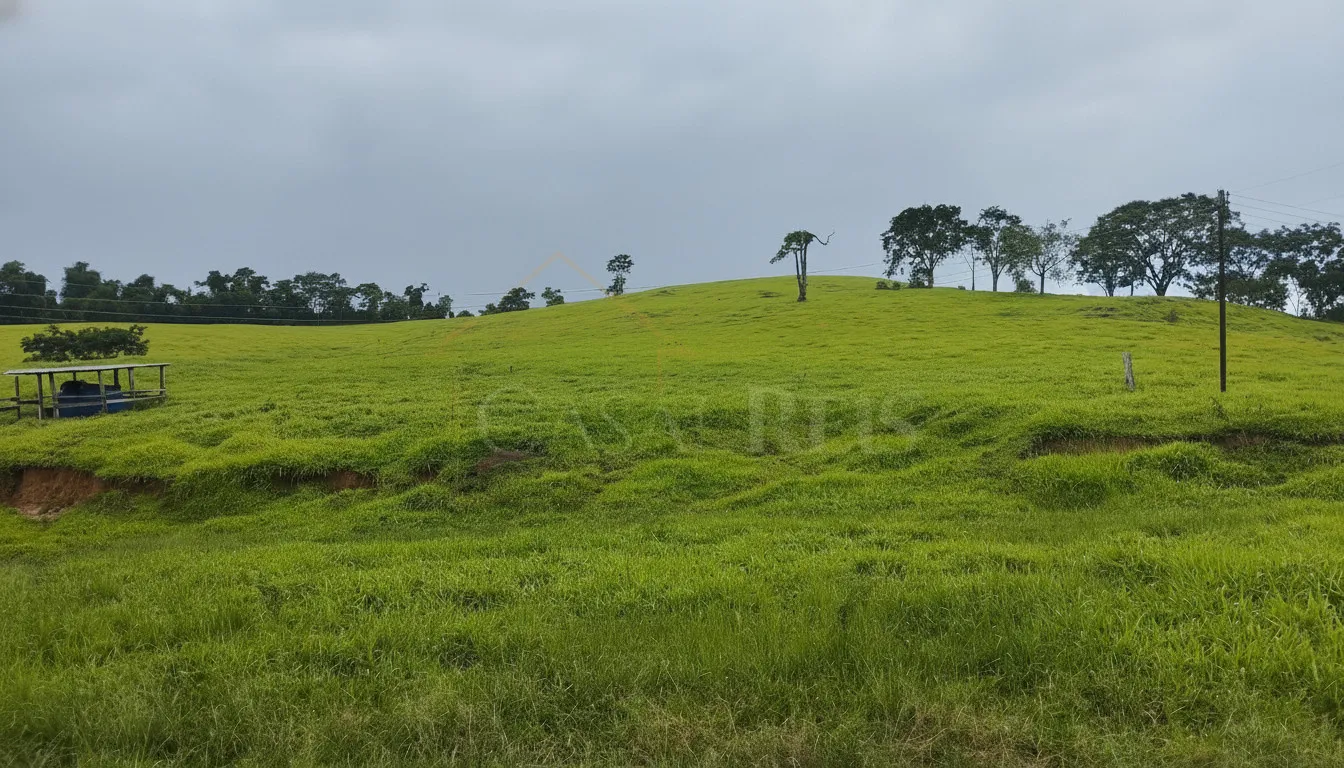 Imagem Sítio 79,88 ha à venda em Rio Pardo, Caldas