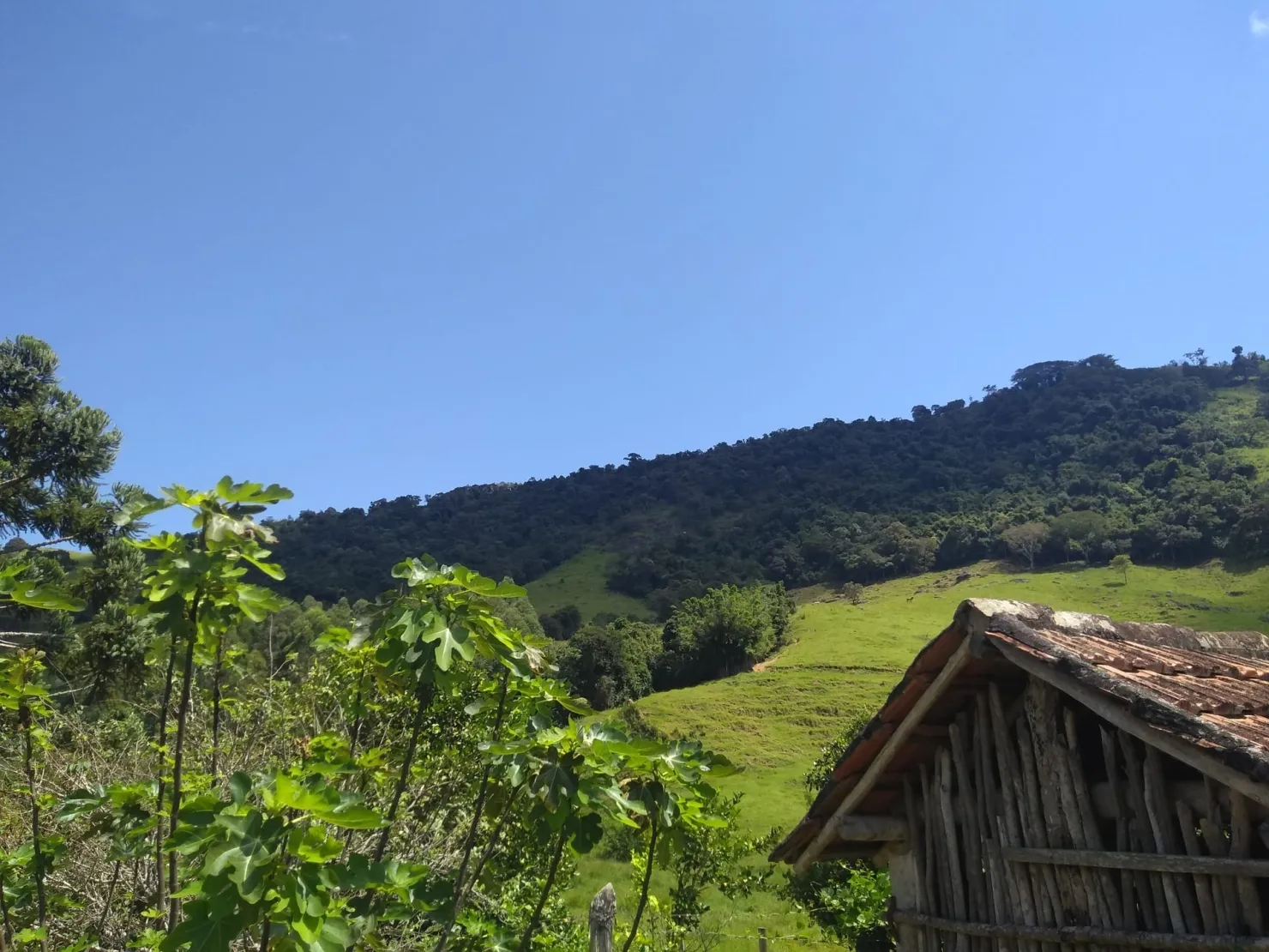 Imagem Chácara à venda 2 Quartos, 768000M², Zona Rural, Cunha - SP