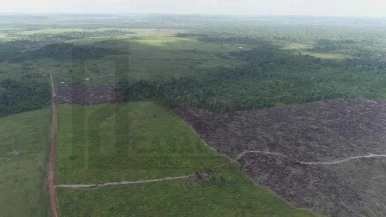 Imagem CASAL IMÓVEIS VENDE FAZENDA EM PARAGOMINAS 500 ALQUEIRES