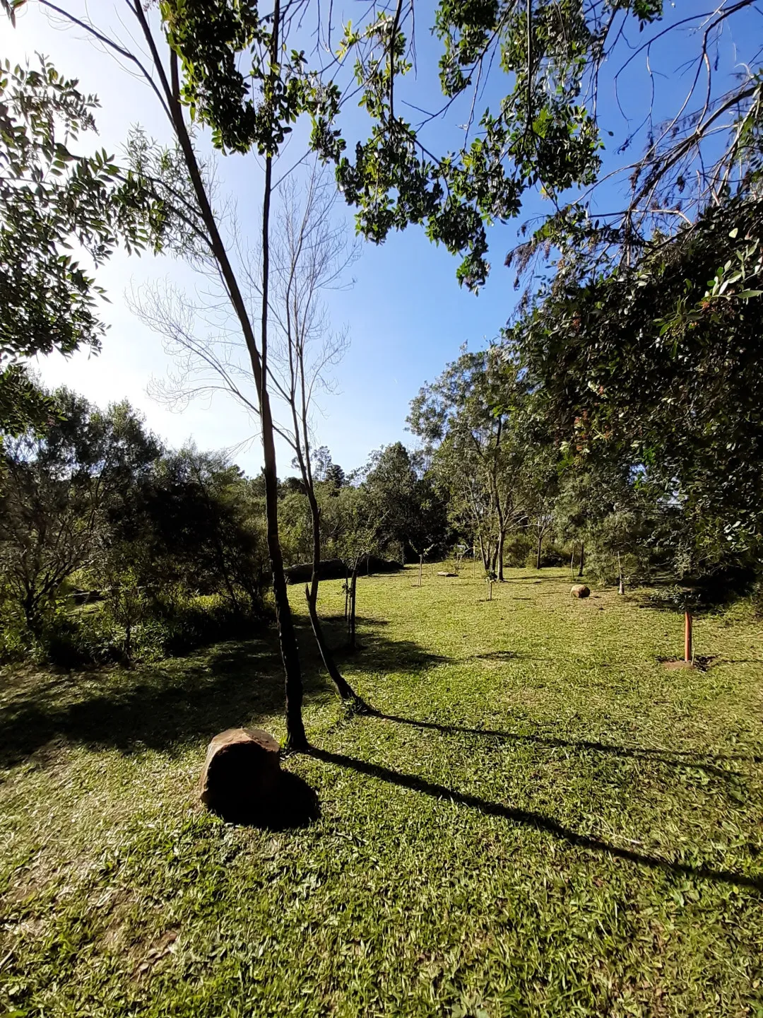 Imagem Lote à venda em Gramado, Portico, 652.39m2