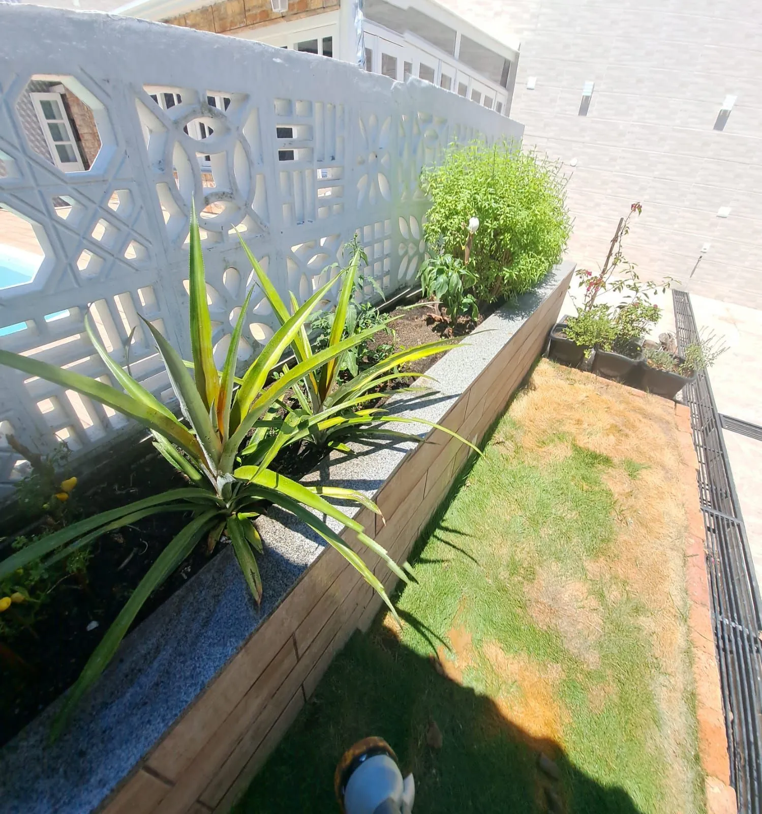 Imagem Casa com piscina e 3 quartos à venda em Cachoeirinha