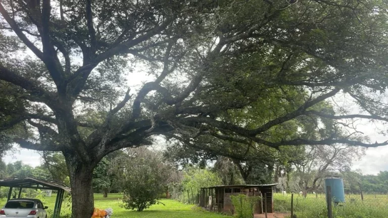 Imagem Chácara a VENDA, Parque Santa Cândida, Bauru/SP, com 2 casas