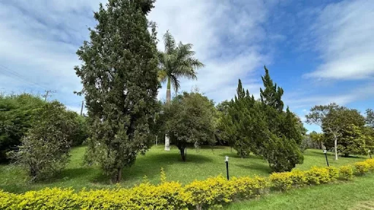 Imagem Chácara com 3 dormitórios à venda, 5000 m por R$ 899.000,00 - Cercado - Araçoiaba da Serra/SP