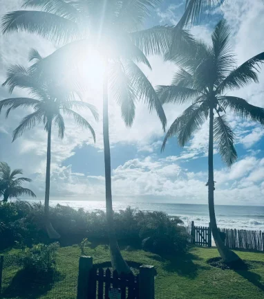 Imagem SÍTIO EXCLUSIVO FRENTE MAR - ALGODÕES