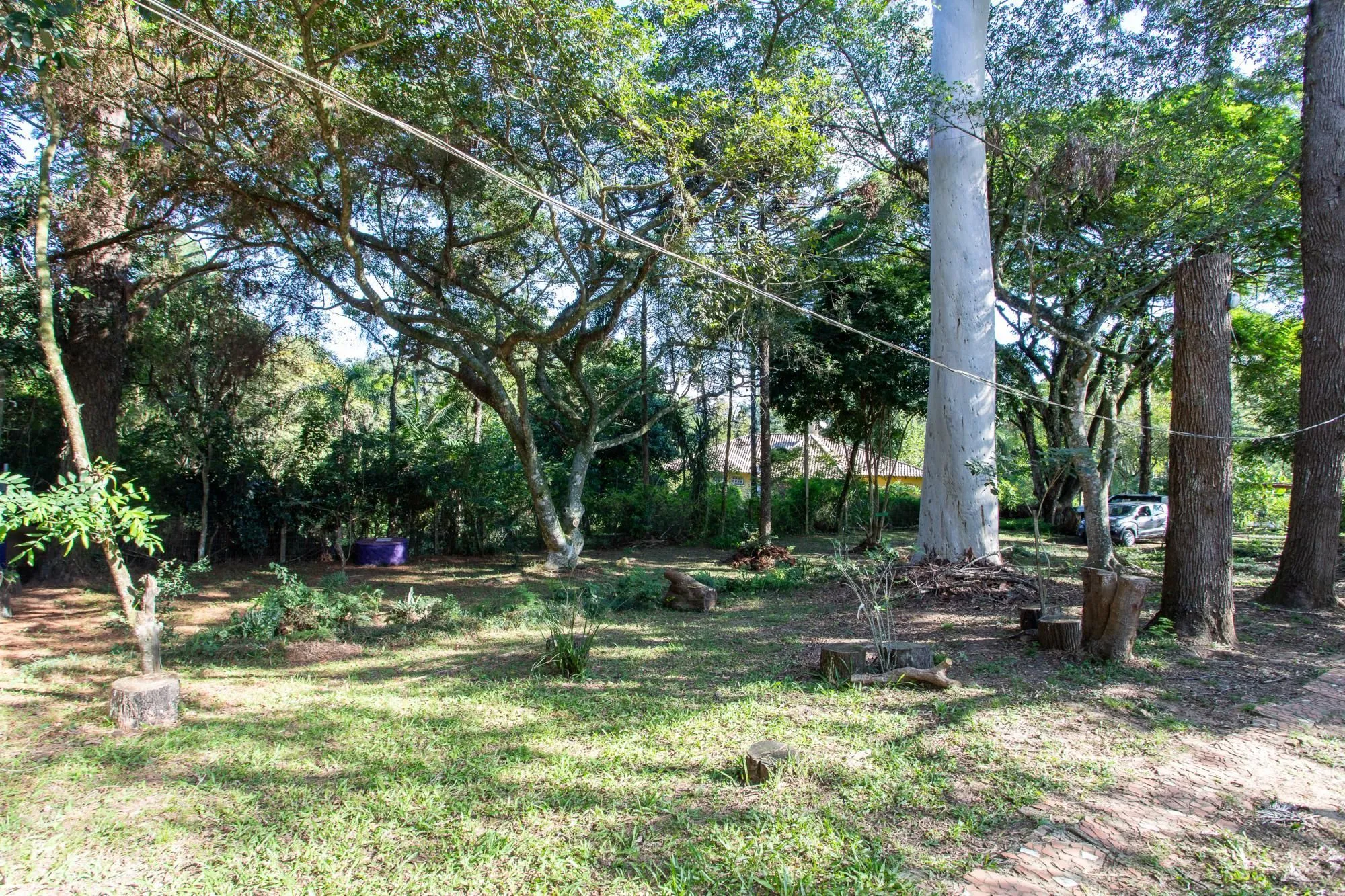 Imagem Casa em Belém Velho