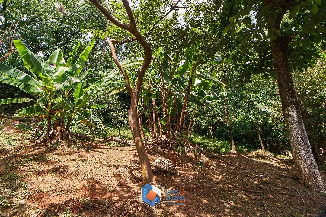 Imagem Casa para venda em City América com 4 quartos, sendo 2 suítes, 560m²