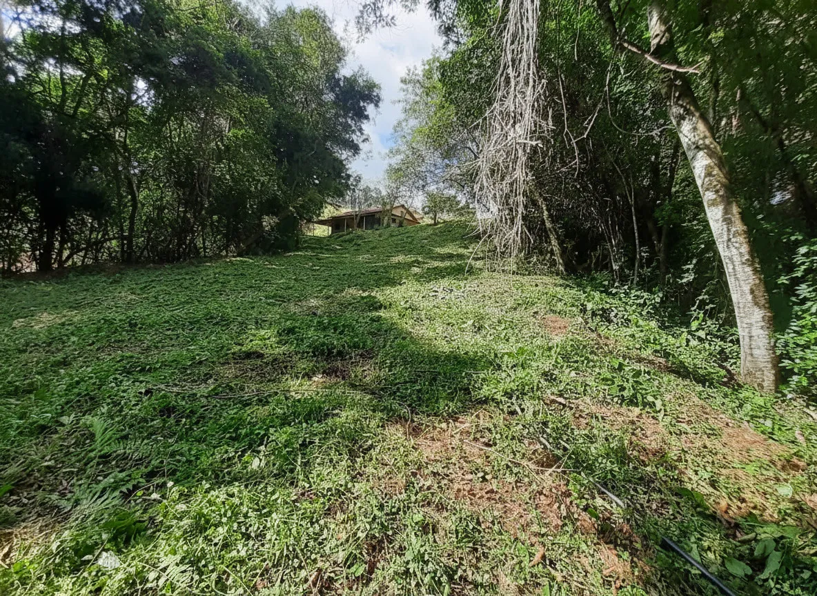 Imagem Chácara 70 m² à venda em Pião, Campestre