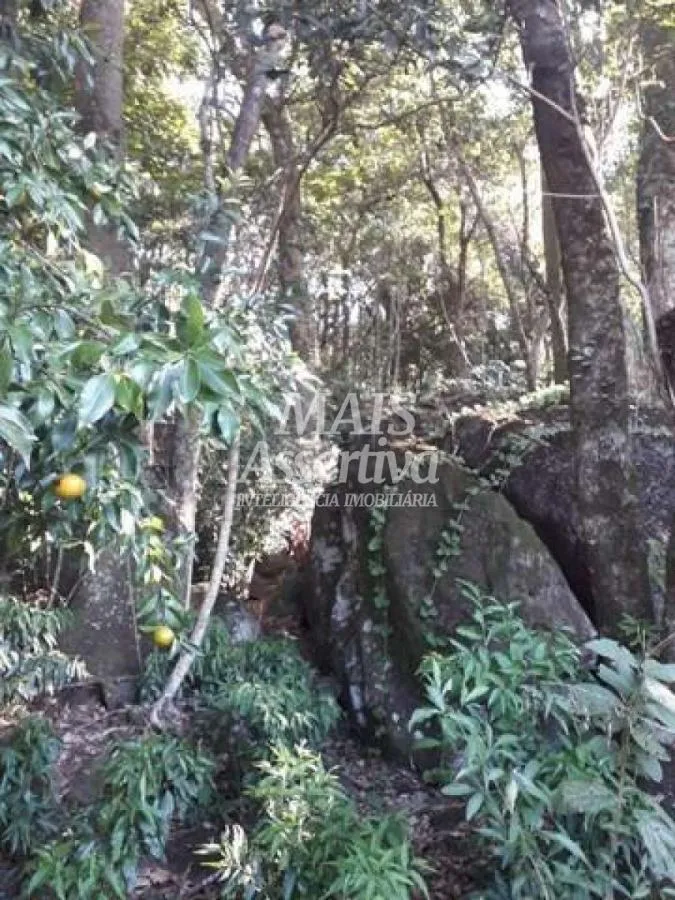 Imagem Sítio para Venda em Rolante / RS no bairro Morro Da Figueira
