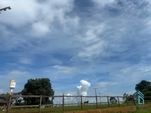 Imagem Sítio com área verde e pomar, 14 alqueires, arrendado que planta soja, em Vianópolis Goiânia - GO