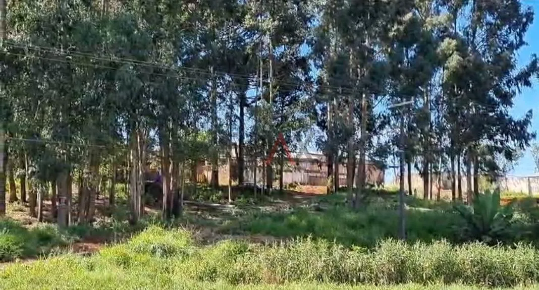 Imagem Excelente terreno amplo à venda, BOQUEIRÃO, GUARAPUAVA - PR