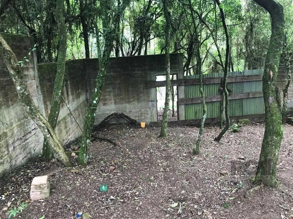 Imagem Terreno em Belém Velho