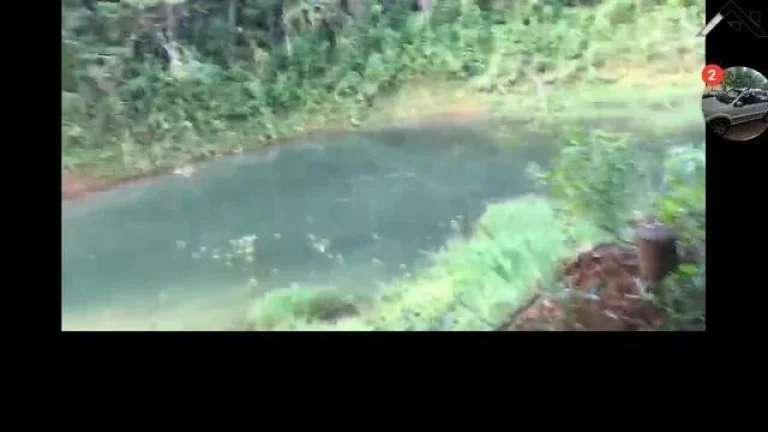 Imagem CHACARA A VENDA ESTRADA DE OTIMA LOCALIZAÇÃO