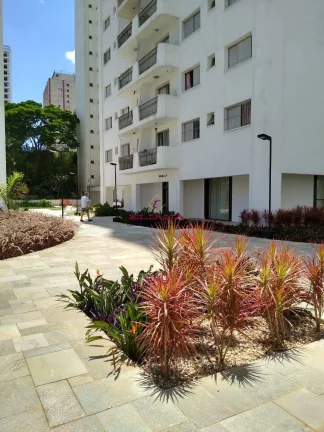 Imagem Apartamento à venda em São Paulo, Santana, com 3 quartos, 91m²