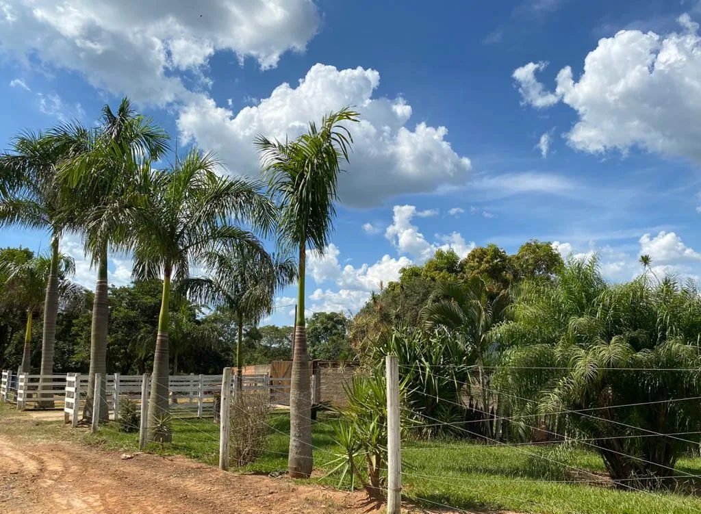 Imagem FAZENDINHA PORTEIRA FECHADA À VENDA - CARMO DO CAJURU (MG) 37 hectares de área total