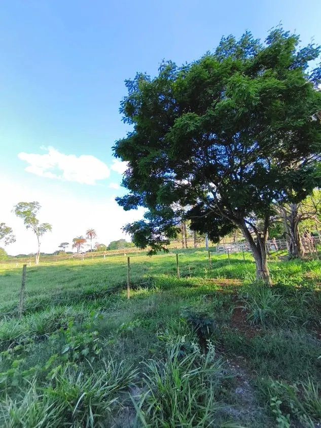 Imagem Vende-se Sítio na MG-050 ( São Sebastião d oeste ) 9,6 hectares de área
