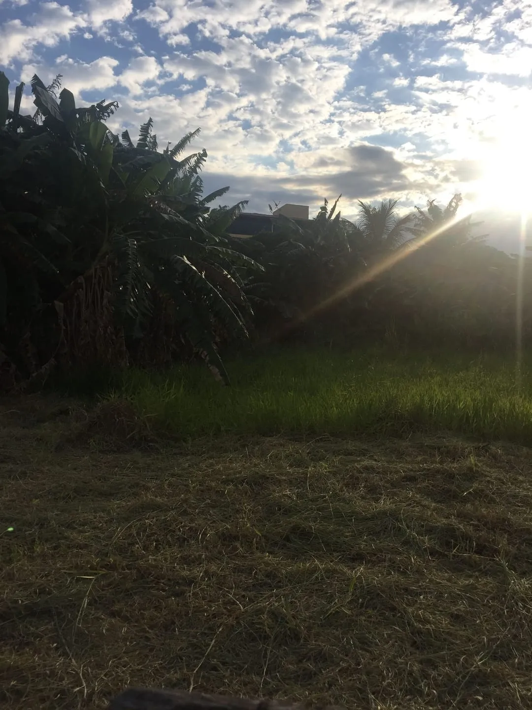 Imagem Terreno à venda 828M², Residencial e Comercial Cidade Jardim, Pindamonhangaba - SP