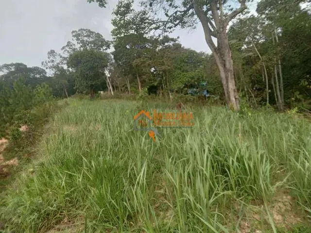 Imagem Terreno à venda, 10000 m² por R$ 4.950.000,00 - Chácara das Lavras - Guarulhos/SP