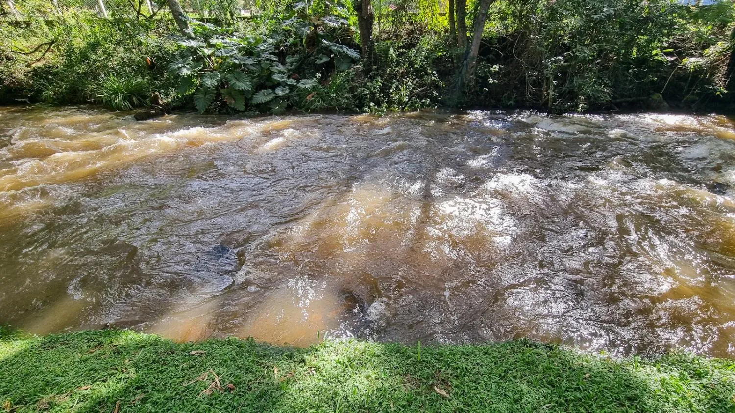 Imagem Oportunidade de Compra: Sítio/Chácara em Joanópolis, SP