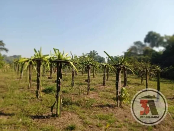 Imagem Chácara 2,5 hectares no Areia Branca