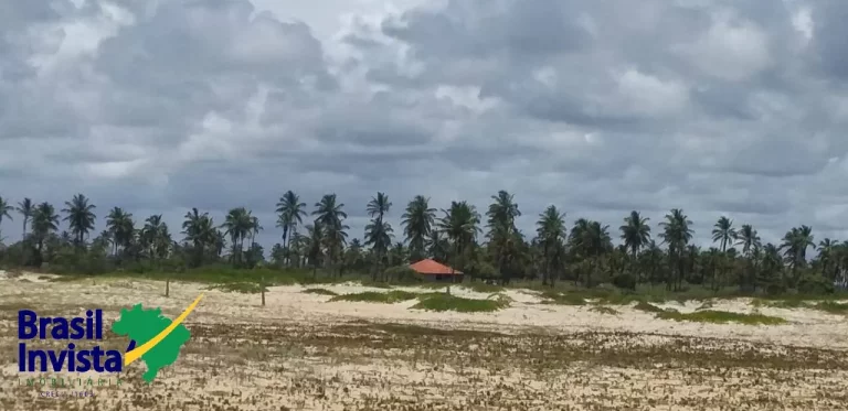 Imagem OPORTUNIDADE DE INVESTIMENTO