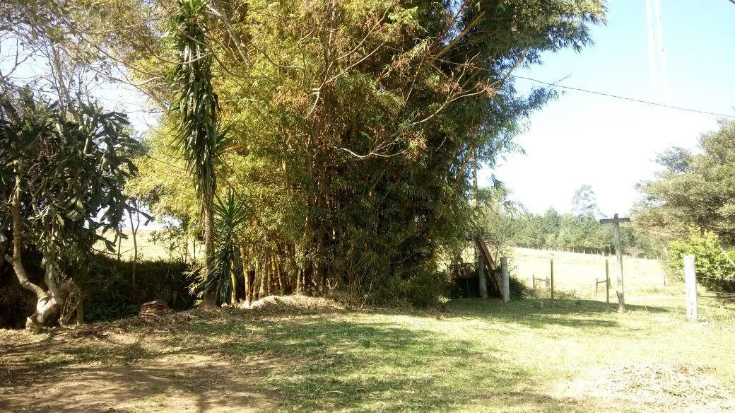Imagem Chácara para Venda em Taquara / RS no bairro Santa Cruz da Concórdia