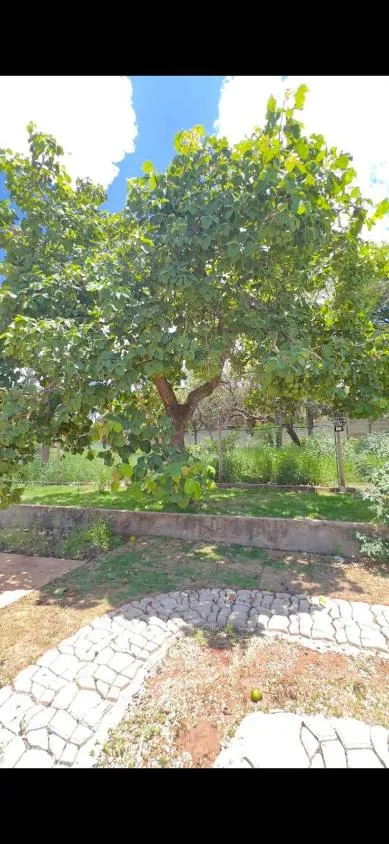 Imagem Oportunidade abaixo do preço - Chacara a venda no Vivendas Santa Mônica II , com 1.000 m²