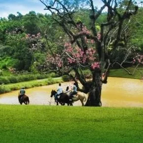 Imagem Excelente Terreno com 1.422,48m² no Condomínio Terras Altas Dona Carolina Itatiba-SP